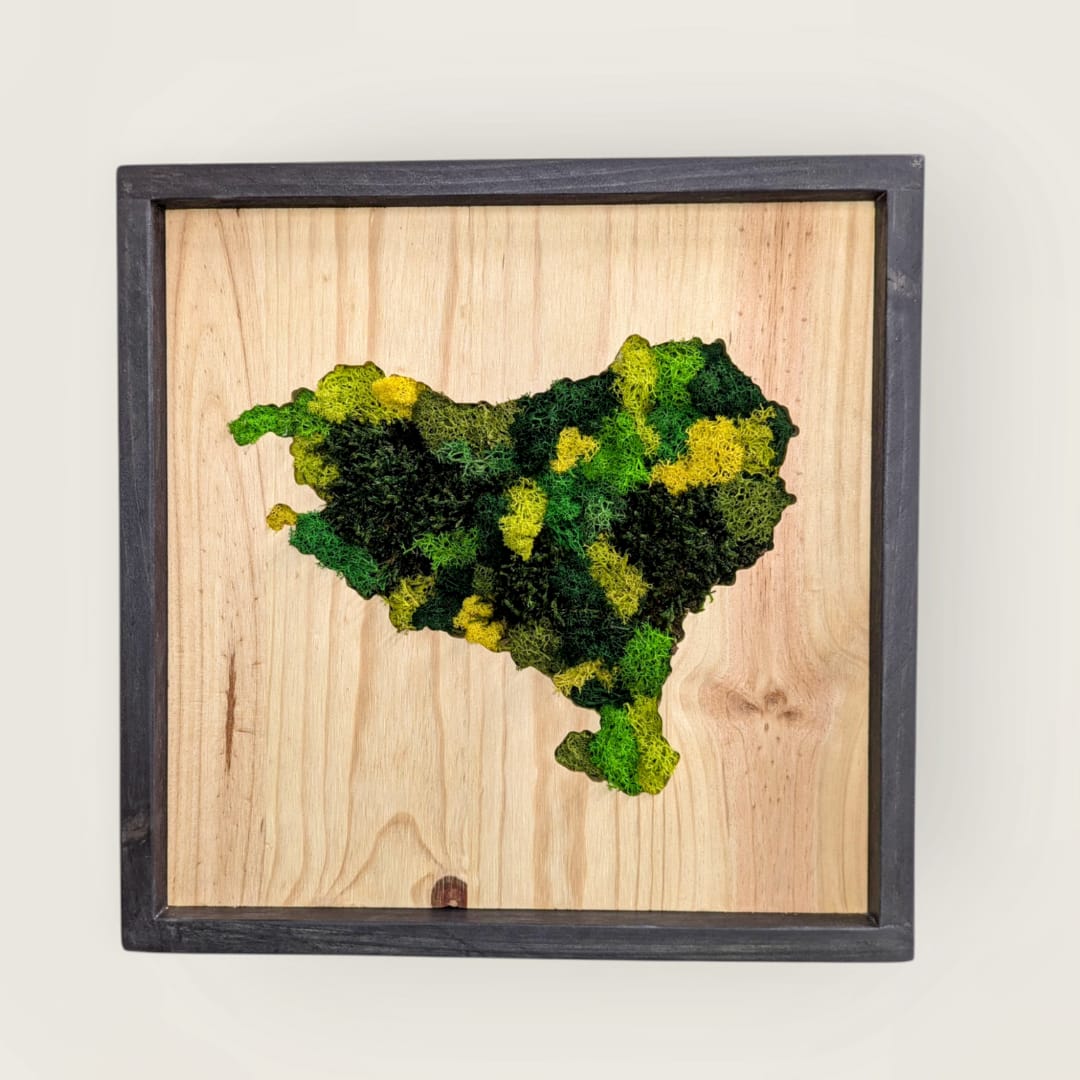 CUADRO EUSKAL HERRIA MUSGO PRESERVADO